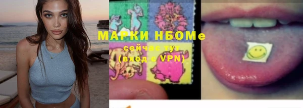 гашик Алзамай