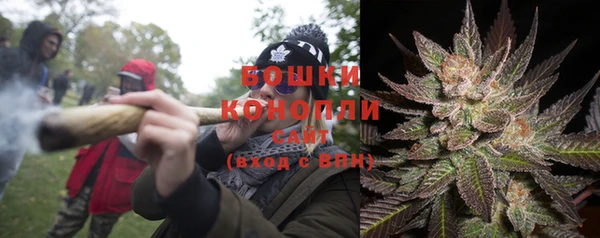 спиды Алексин