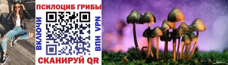 Галлюциногенные грибы Cubensis Уржум